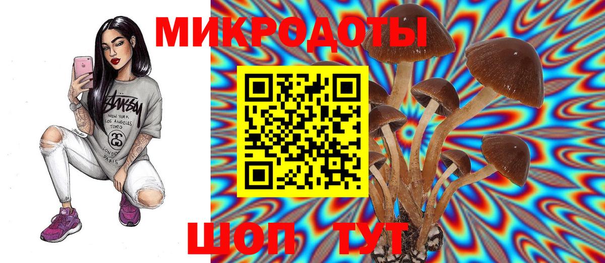 Галлюциногенные грибы мухоморы Лыткарино